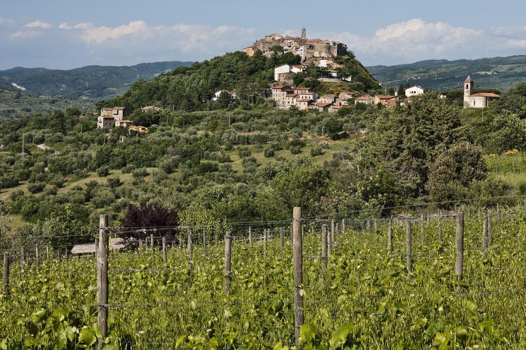 Appartamento La Dragona Castel del Piano  Camera foto